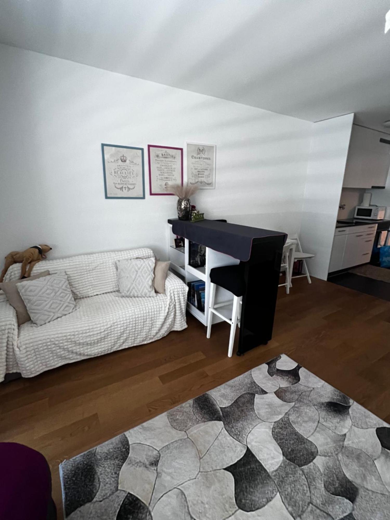 Apartments In Bern - Green Relax Exteriér fotografie